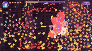Скриншот 1 к игре Touhou Library Survivors