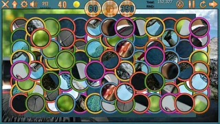 Скриншот 1 к игре Clutter's Greatest Hits - Collector's Edition