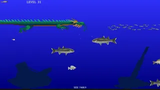Скриншот 6 к игре King Of Water