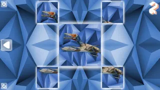 Скриншот 2 к игре Poly Puzzle: Dinosaurs