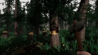 Скриншот 1 к игре The Woods