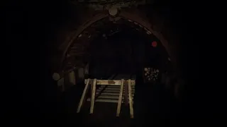 Скриншот 5 к игре The Umbridge Estate