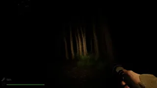 Скриншот 1 к игре Park Ranger: Lost In The Woods