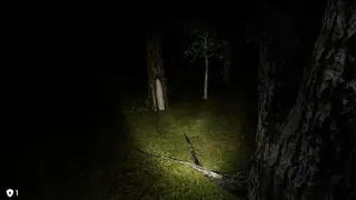 Скриншот 7 к игре Ambushed