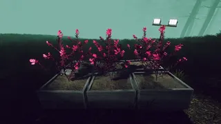 Скриншот 5 к игре Odd Woods