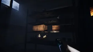 Скриншот 4 к игре Peek a Boo