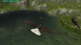 Скриншот 3 к игре Eagle Hunting Journey