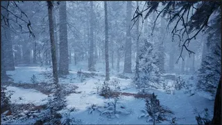 Скриншот 3 к игре Evergreen - Mountain Life Simulator: PROLOGUE