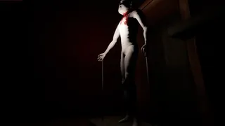 Скриншот 8 к игре The Gravehouse