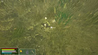 Скриншот 4 к игре Naturia