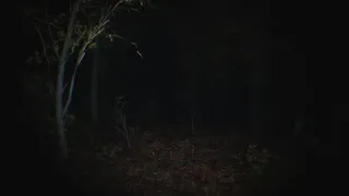 Скриншот 2 к игре Paranormal Tales
