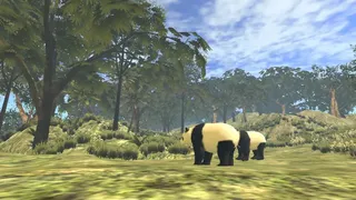 Скриншот 6 к игре VR World of Pandas
