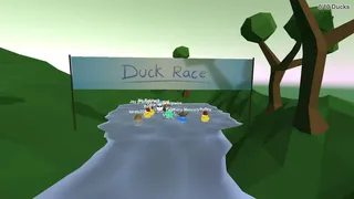 Скриншот 7 к игре Duck Race