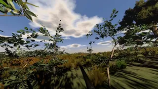 Скриншот 6 к игре Hunting Life VR: Dove Season