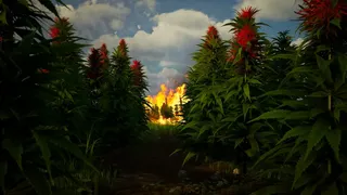 Скриншот 4 к игре Illegal Plantation