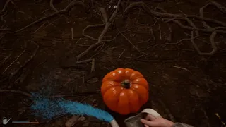 Скриншот 6 к игре Hallowed Pumpkins