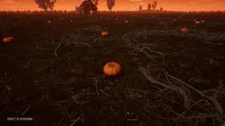Скриншот 7 к игре Hallowed Pumpkins