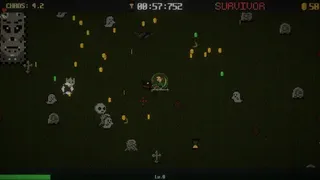 Скриншот 6 к игре Project Survivor