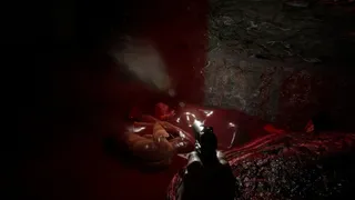 Скриншот 6 к игре Delusion
