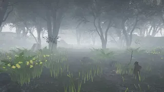 Скриншот 1 к игре The shelter of patient