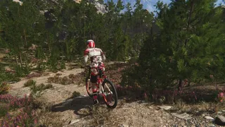 Скриншот 8 к игре Traildown: Downhill Mountain Biking