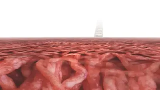 Скриншот 4 к игре Meat Madness