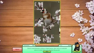Скриншот 2 к игре I Love Finding Birds