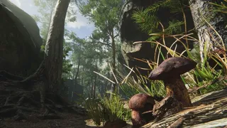 Скриншот 3 к игре Mushroom Collector Simulator
