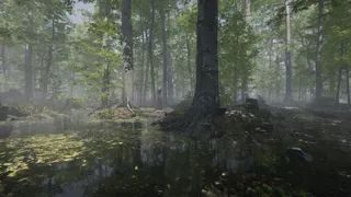 Скриншот 4 к игре Mushroom Collector Simulator