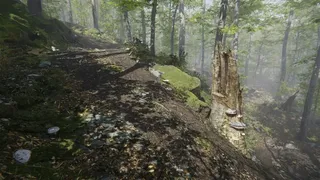 Скриншот 5 к игре Mushroom Collector Simulator
