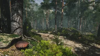 Скриншот 7 к игре Mushroom Collector Simulator