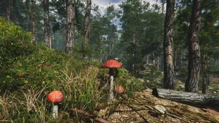 Скриншот 8 к игре Mushroom Collector Simulator