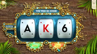 Скриншот 6 к игре Twistingo: Bird Paradise Collector's Edition
