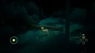 Скриншот 6 к игре Way To The Woods