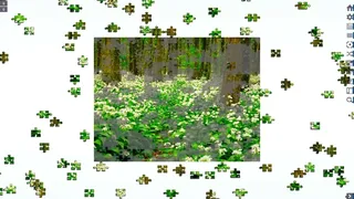 Скриншот 4 к игре Let's Play Jigsaw Puzzles