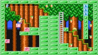 Скриншот 2 к игре The Year of the Carrot