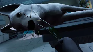 Скриншот 5 к игре VetVR Veterinary Simulator