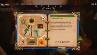 Скриншот 5 к игре Garden Life: A Cozy Simulator