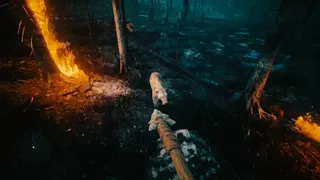 Скриншот 1 к игре Primitive