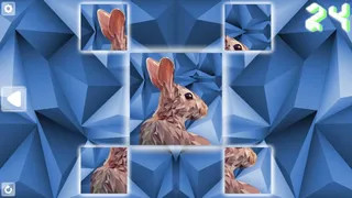 Скриншот 4 к игре Poly Puzzle: Animals