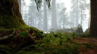 Скриншот 2 к игре Native Hunter
