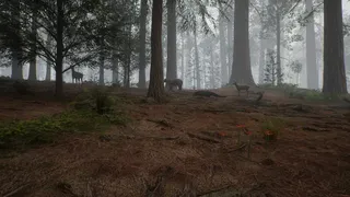 Скриншот 7 к игре Native Hunter