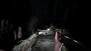 Скриншот 3 к игре Silence In The Cabin
