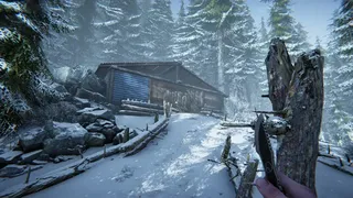 Скриншот 4 к игре Silence In The Cabin