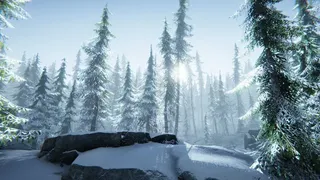 Скриншот 6 к игре Silence In The Cabin