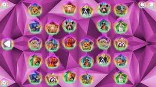 Скриншот 2 к игре Poly Memory: Animals