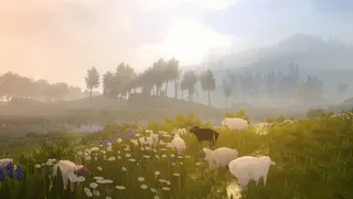 Скриншот 2 к игре Wilderless