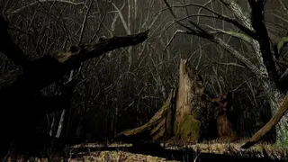 Скриншот 6 к игре Eaten by Darkness