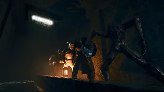 Скриншот 1 к игре Kaila
