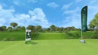 Скриншот 1 к игре Golf 5 eClub